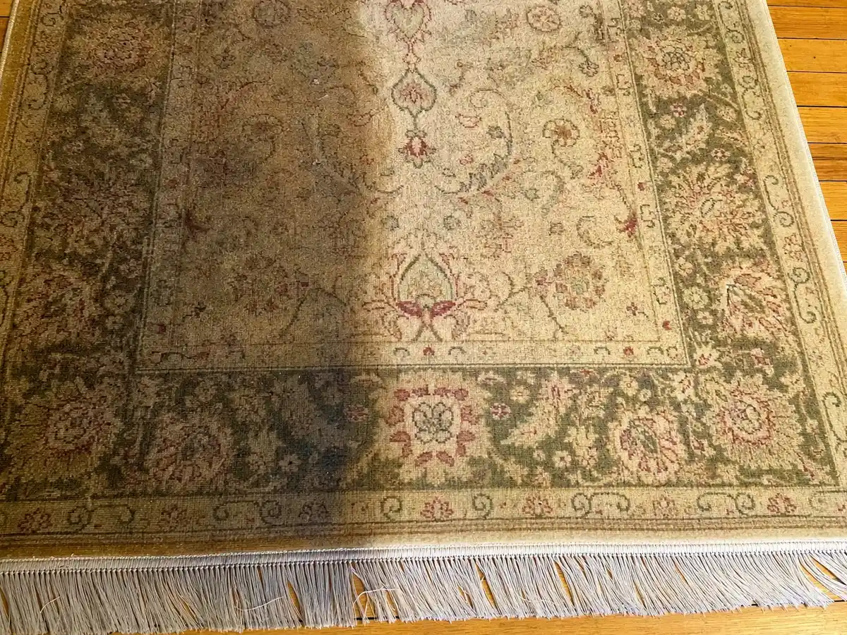 Rug Cleaning in West Covina, CA